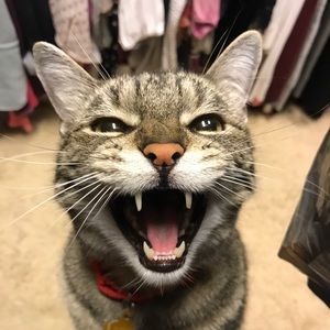 Meet your Posher, Matthew